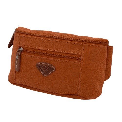 Bumbag checkbook